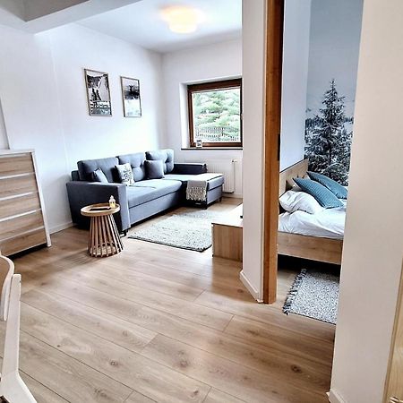 Why Not Apartament Przy Skoczni 자코파네 외부 사진